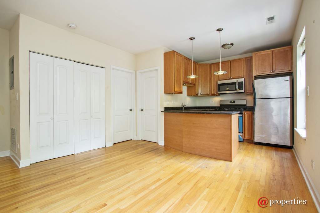 3005 N Clifton Avenue #201 Chicago, Illinois 60657 - Kitchen/Living