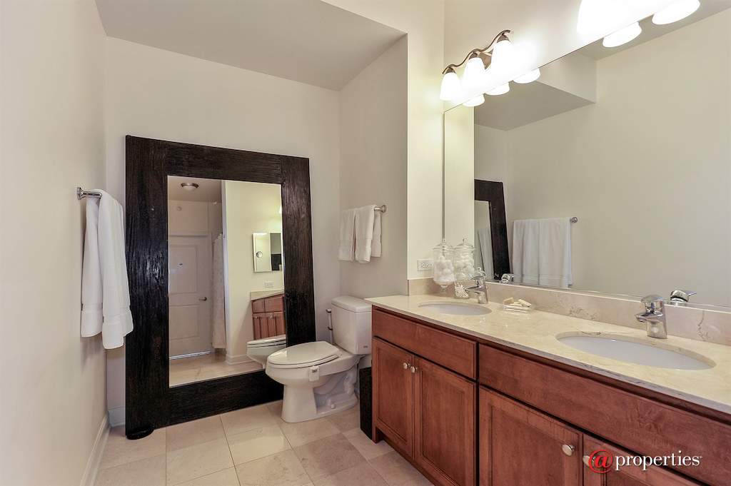 225 N Columbus Drive #6803 Chicago, Illinois 60601 - Master Bathroom