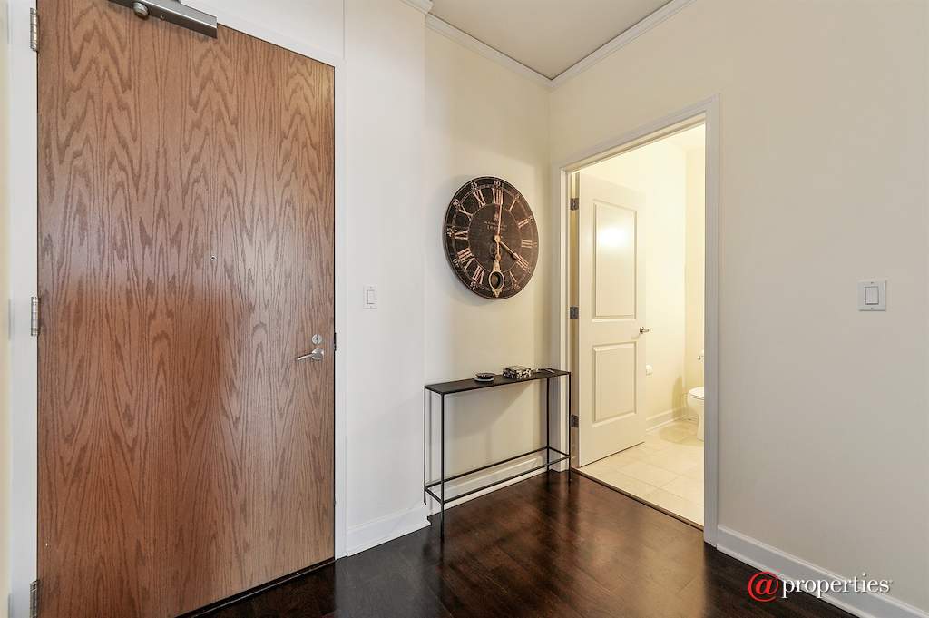 225 N Columbus Drive #6803 Chicago, Illinois 60601 - Foyer
