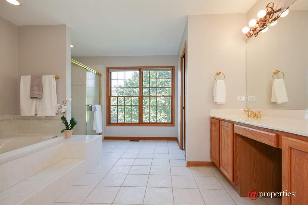 1931 Tunbridge Court Algonquin, Illinois 60102 - Master Bathroom