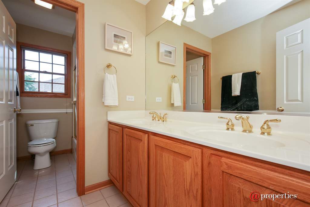 1931 Tunbridge Court Algonquin, Illinois 60102 - Bathroom