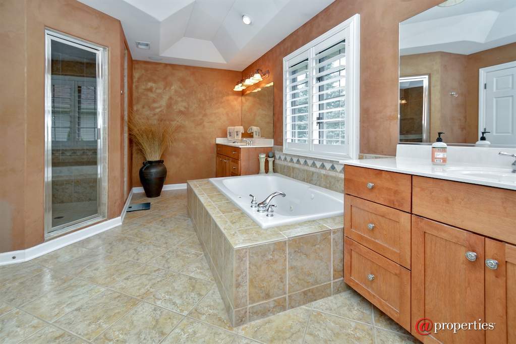 233 Sawgrass Drive Palos Heights, Illinois 60463 - Master Bathroom