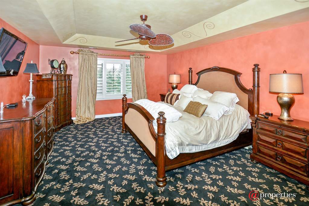 233 Sawgrass Drive Palos Heights, Illinois 60463 - Master Bedroom