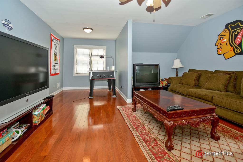 233 Sawgrass Drive Palos Heights, Illinois 60463 - Media Room