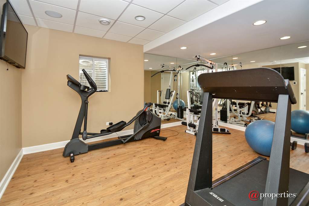 233 Sawgrass Drive Palos Heights, Illinois 60463 - Gym