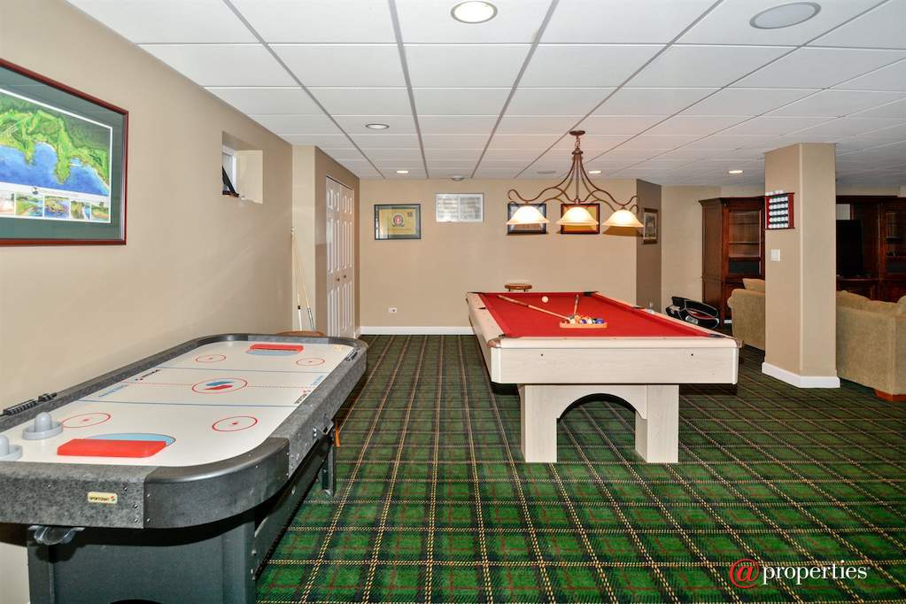 233 Sawgrass Drive Palos Heights, Illinois 60463 - Gameroom