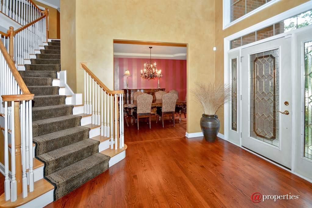 233 Sawgrass Drive Palos Heights, Illinois 60463 - Foyer