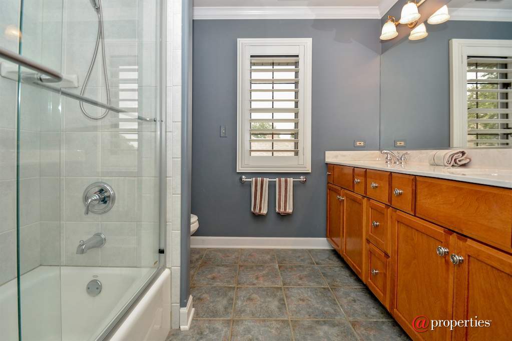 233 Sawgrass Drive Palos Heights, Illinois 60463 - Bathroom