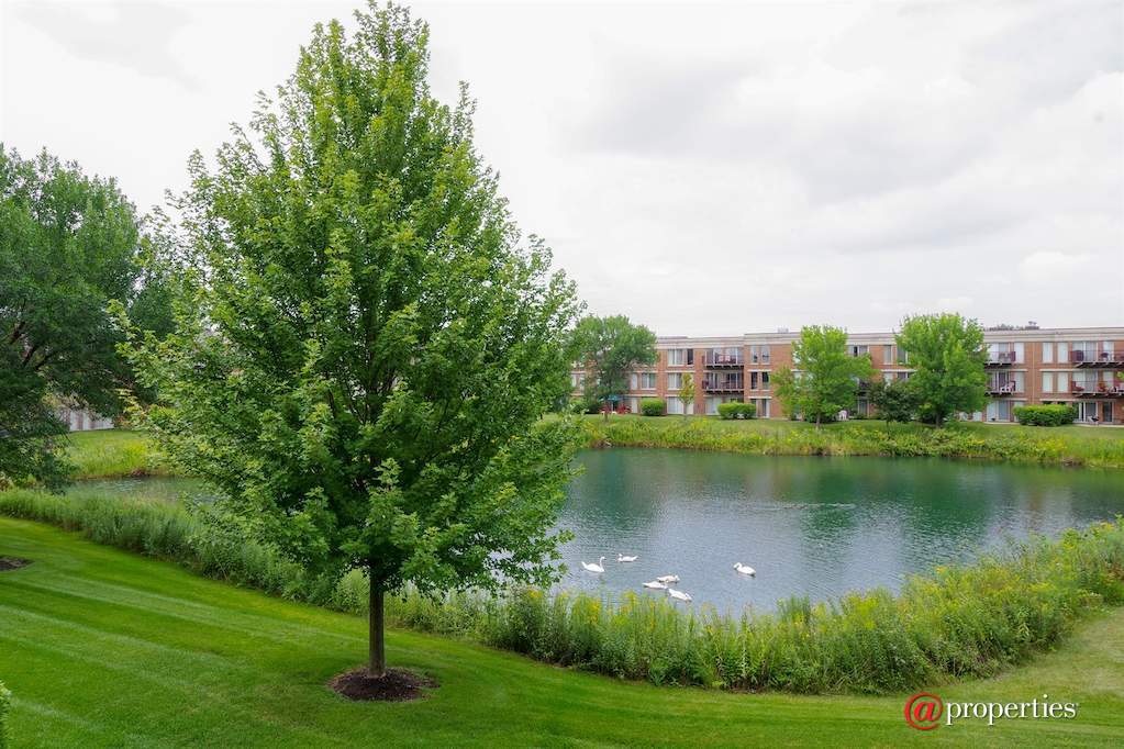 412 Kelburn Road #213 Deerfield, Illinois 60015 - Balcony View