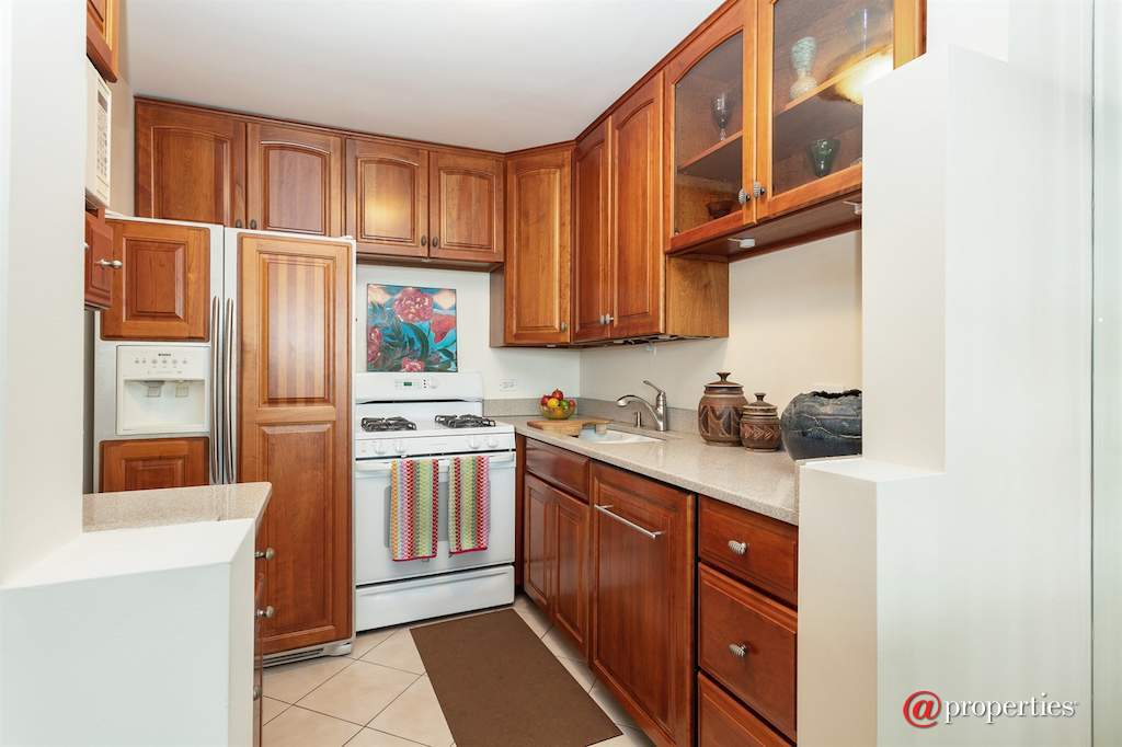 400 E Randolph Street #3607 Chicago, Illinois 60601 - Kitchen