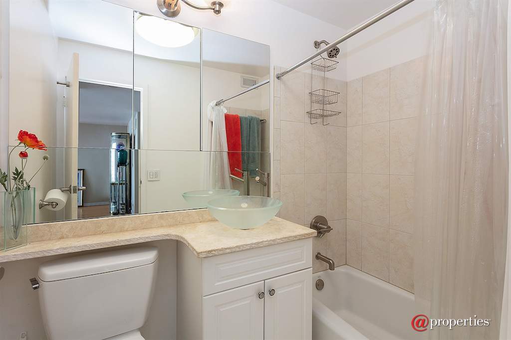 400 E Randolph Street #3607 Chicago, Illinois 60601 - Bathroom
