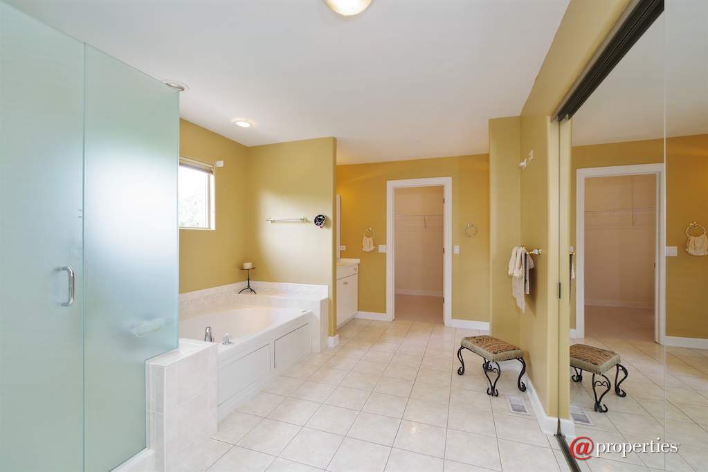 6520 Lyons Street Morton Grove, Illinois 60053 - Master Bathroom