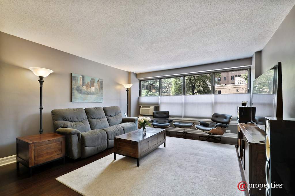 2930 N Sheridan Road #203 Chicago, Illinois 60657 - Living Room