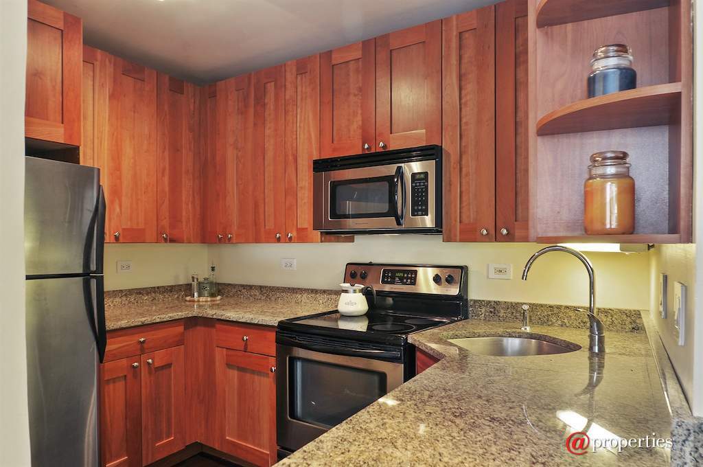 2930 N Sheridan Road #203 Chicago, Illinois 60657 - Kitchen