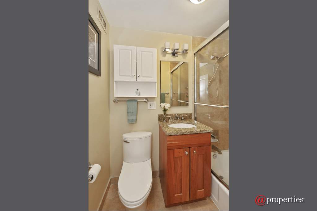 2930 N Sheridan Road #203 Chicago, Illinois 60657 - Bathroom