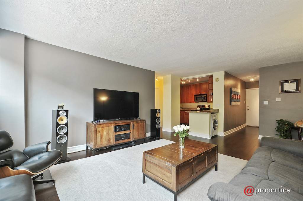 2930 N Sheridan Road #203 Chicago, Illinois 60657 - Kitchen / Living Room