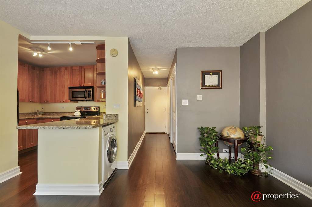 2930 N Sheridan Road #203 Chicago, Illinois 60657 - Kitchen / Dining Room