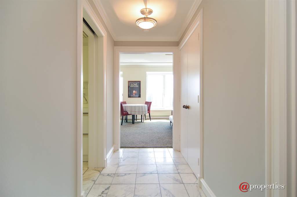 161 E Chicago Avenue #30D Chicago, Illinois 60611 - Foyer