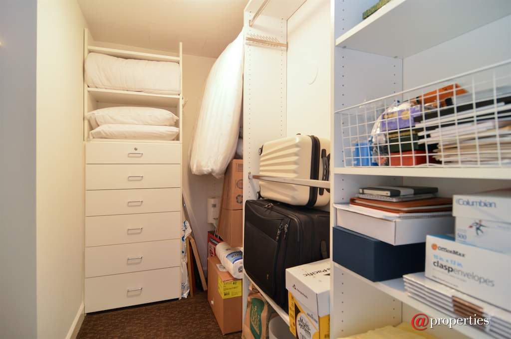 161 E Chicago Avenue #30D Chicago, Illinois 60611 - Closet