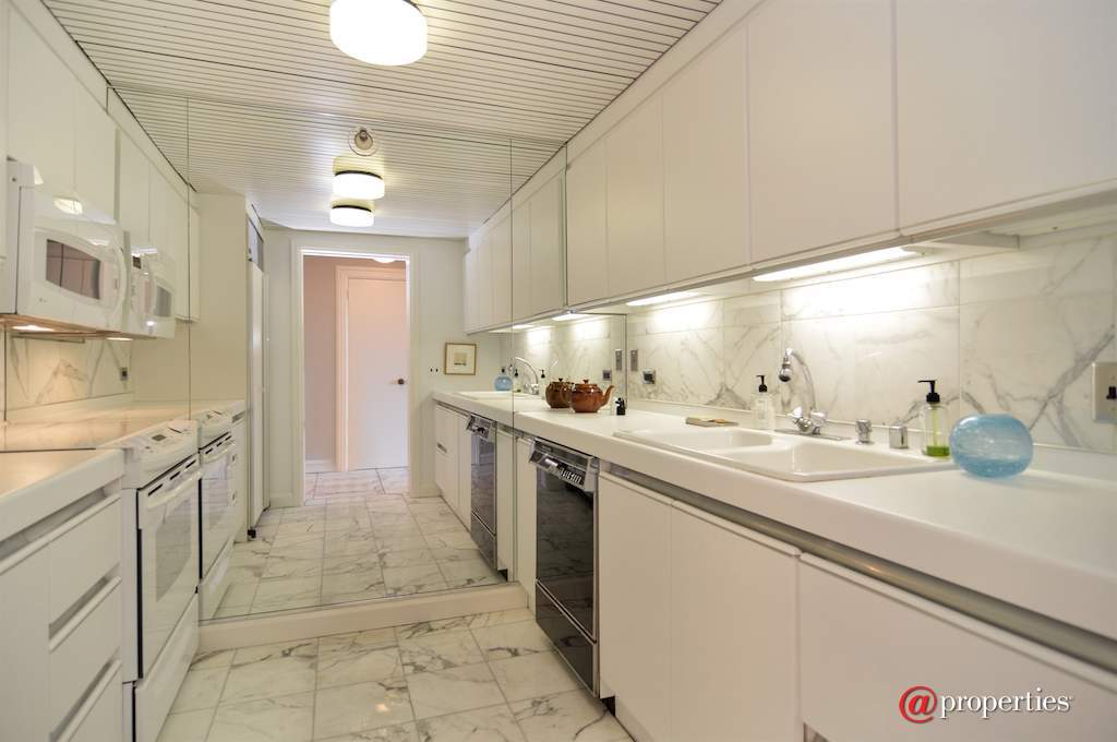 161 E Chicago Avenue #30D Chicago, Illinois 60611 - Kitchen
