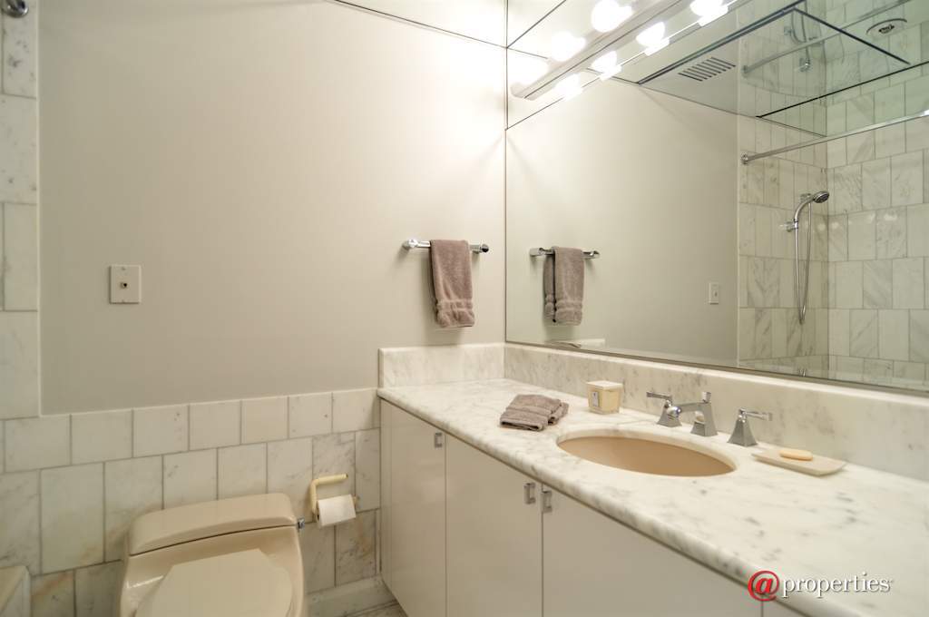 161 E Chicago Avenue #30D Chicago, Illinois 60611 - Bathroom