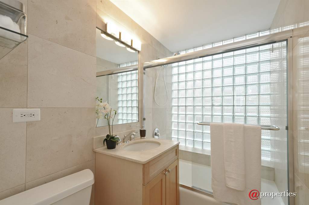 1209 N State Street #9 Chicago, Illinois 60610 - Bathroom