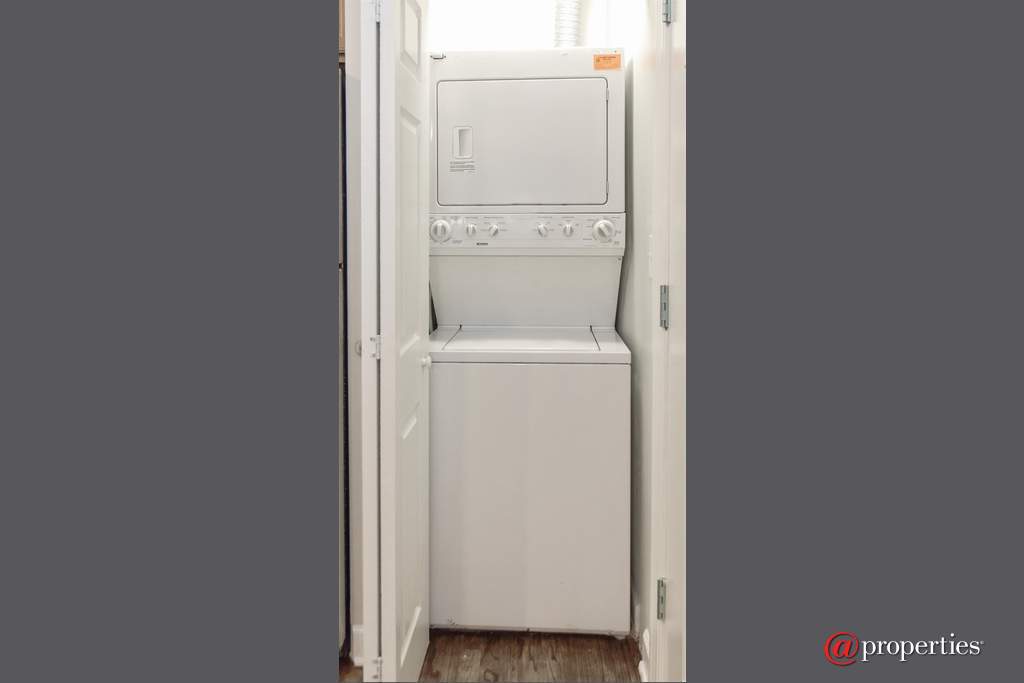 4102 N Hamlin Avenue #1 Chicago, Illinois 60618 - Laundry Room