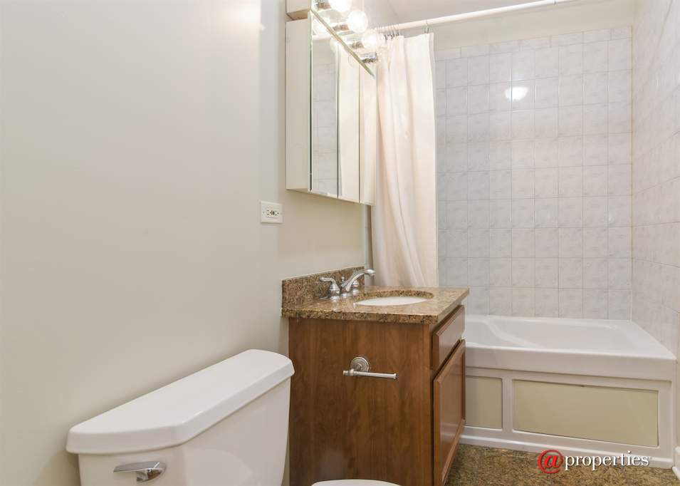 4102 N Hamlin Avenue #1 Chicago, Illinois 60618 - Bathroom