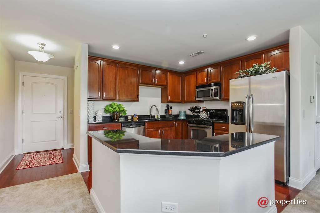 1210 N Foxdale Drive #2-111 Addison, Illinois 60101 - Kitchen
