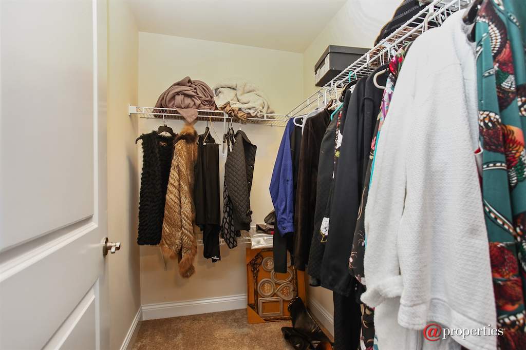 1210 N Foxdale Drive #2-111 Addison, Illinois 60101 - Closet