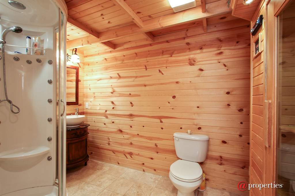 1790 Knob Rd Burlington, Wisconsin 53105 - Lower level bath with shower and Infared Sauna