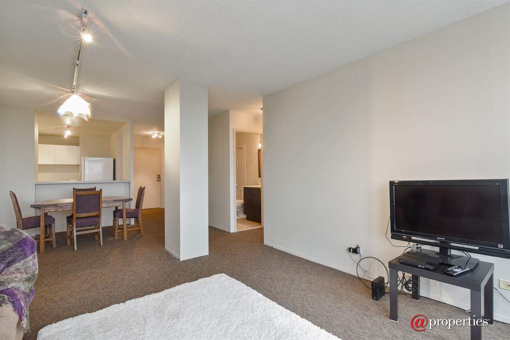 5320 N Sheridan Road #1201 Chicago, Illinois 60640 - Kitchen / Living Room