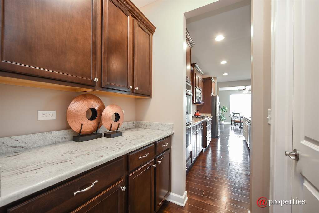 109 Equestrian Way Hawthorn Woods, Illinois 60047 - Butler's pantry