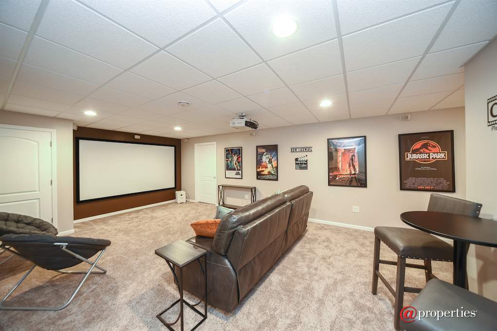 109 Equestrian Way Hawthorn Woods, Illinois 60047 - Theater