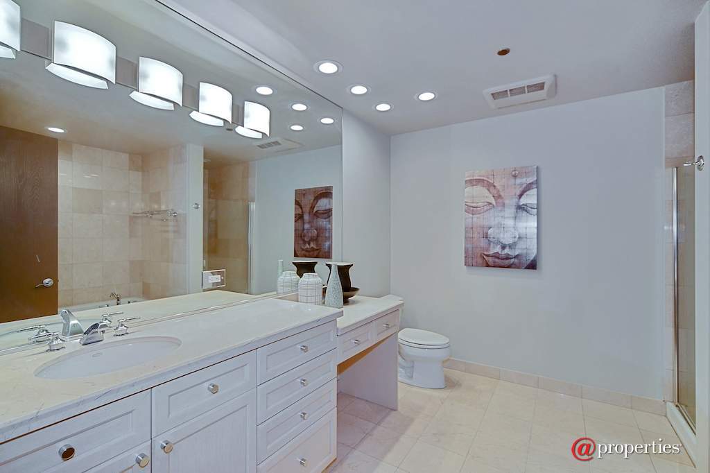 333 N Canal Street #1804 Chicago, Illinois 60606 - Master Bathroom