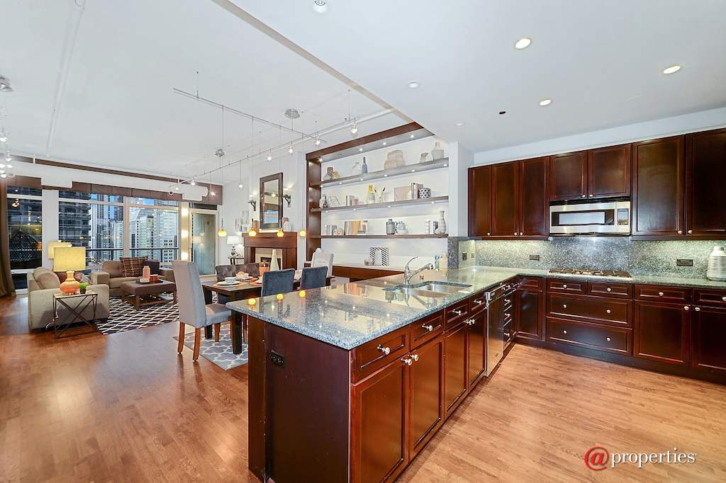 333 N Canal Street #1804 Chicago, Illinois 60606 - Kitchen