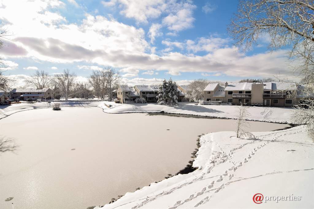 158 Morningside Lane West #158 Buffalo Grove, Illinois 60089 - View