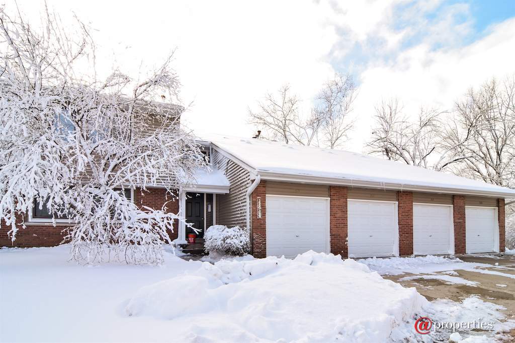 158 Morningside Lane West #158 Buffalo Grove, Illinois 60089 - Front View