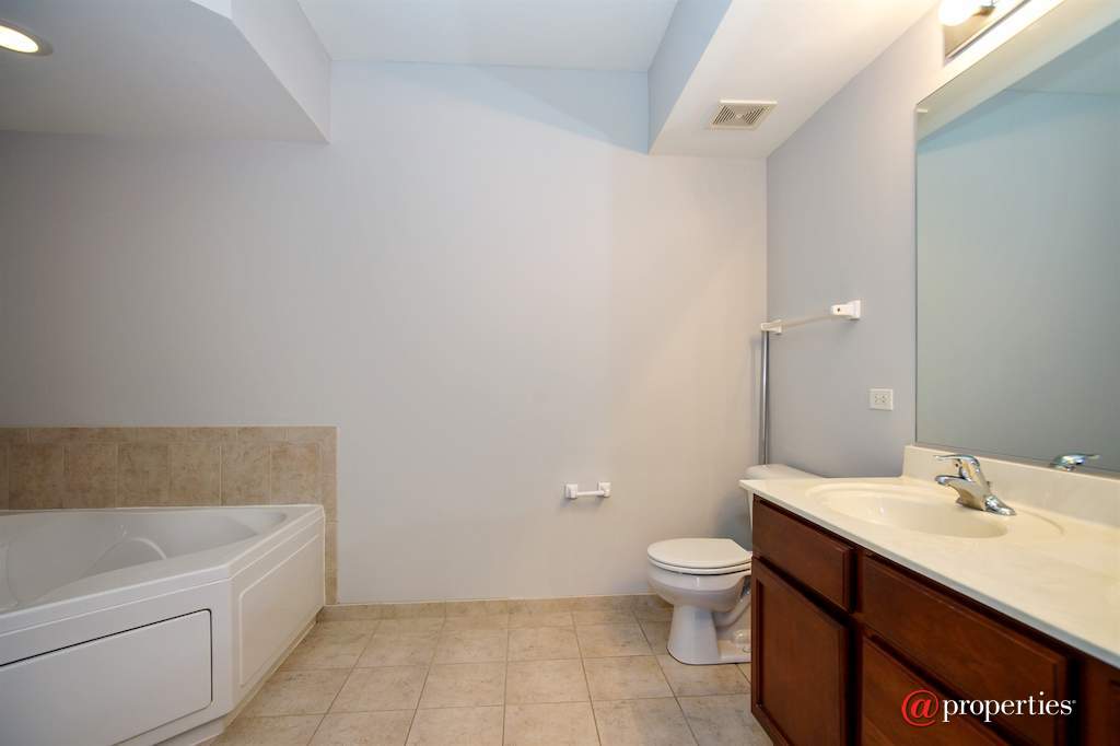 3501 Wellington Court #205 Rolling Meadows, Illinois 60008 - Bathroom
