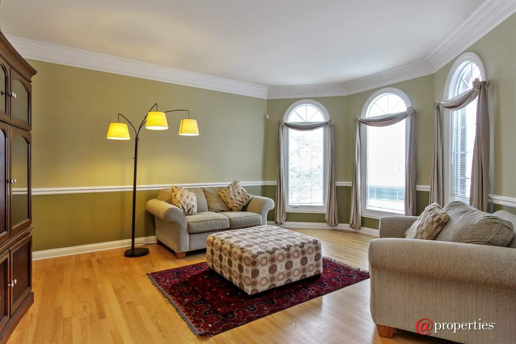 22249 Vernon Ridge Drive Ivanhoe, Illinois 60060 - Living Room