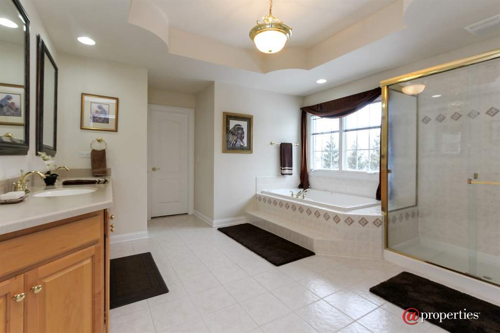 22249 Vernon Ridge Drive Ivanhoe, Illinois 60060 - Master Bathroom