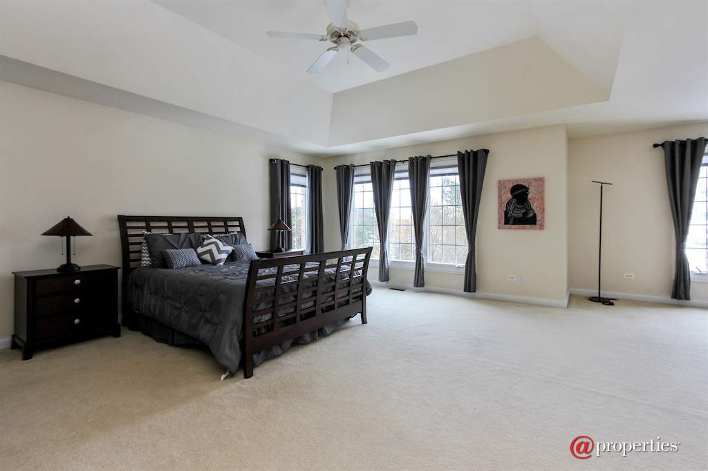 22249 Vernon Ridge Drive Ivanhoe, Illinois 60060 - Master Bedroom
