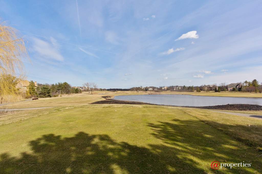 22249 Vernon Ridge Drive Ivanhoe, Illinois 60060 - View