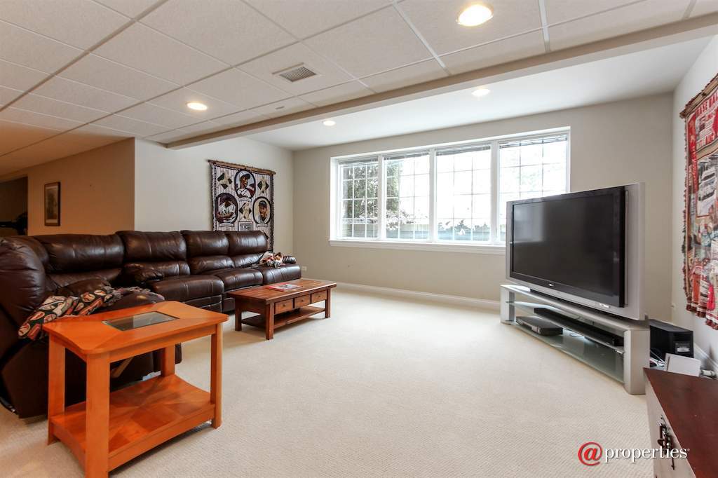 22249 Vernon Ridge Drive Ivanhoe, Illinois 60060 - Basement