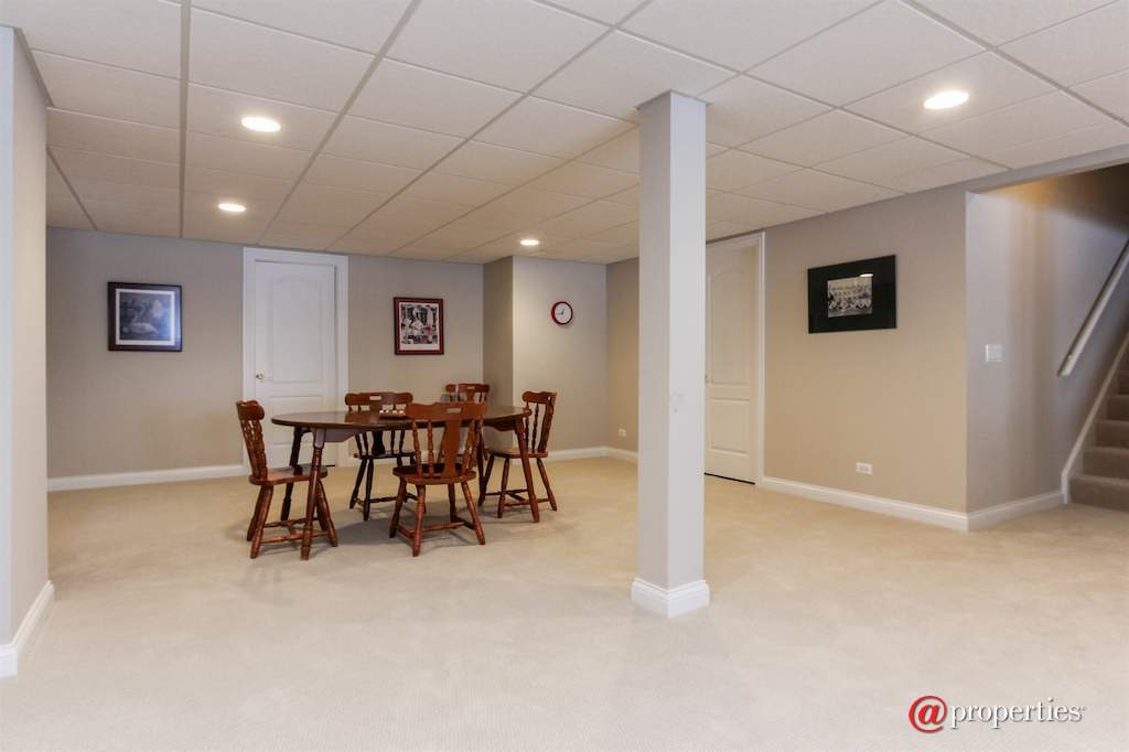 22249 Vernon Ridge Drive Ivanhoe, Illinois 60060 - Basement