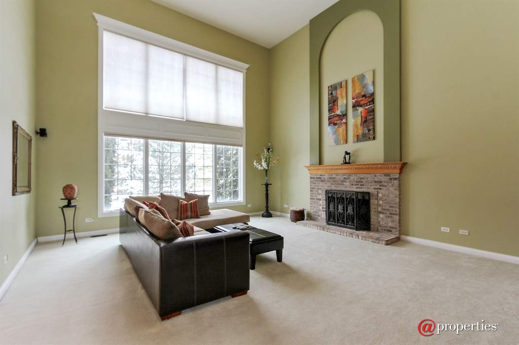22249 Vernon Ridge Drive Ivanhoe, Illinois 60060 - Family Room
