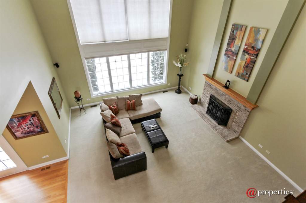 22249 Vernon Ridge Drive Ivanhoe, Illinois 60060 - Family Room