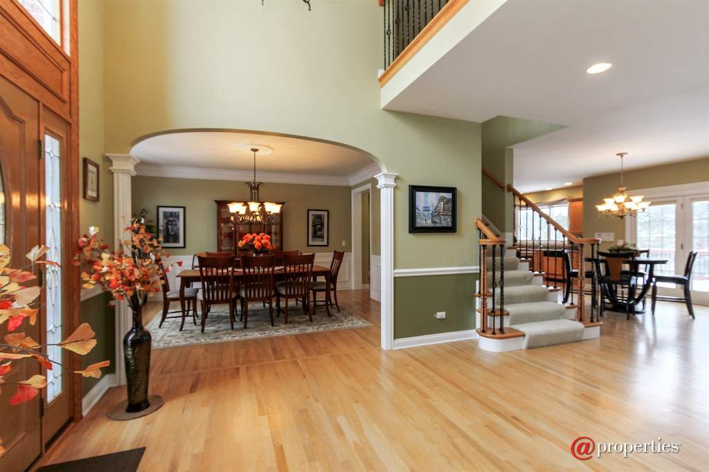 22249 Vernon Ridge Drive Ivanhoe, Illinois 60060 - Foyer