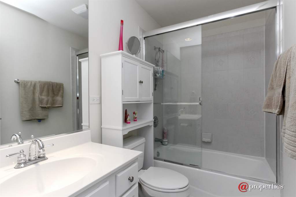 22249 Vernon Ridge Drive Ivanhoe, Illinois 60060 - Bathroom