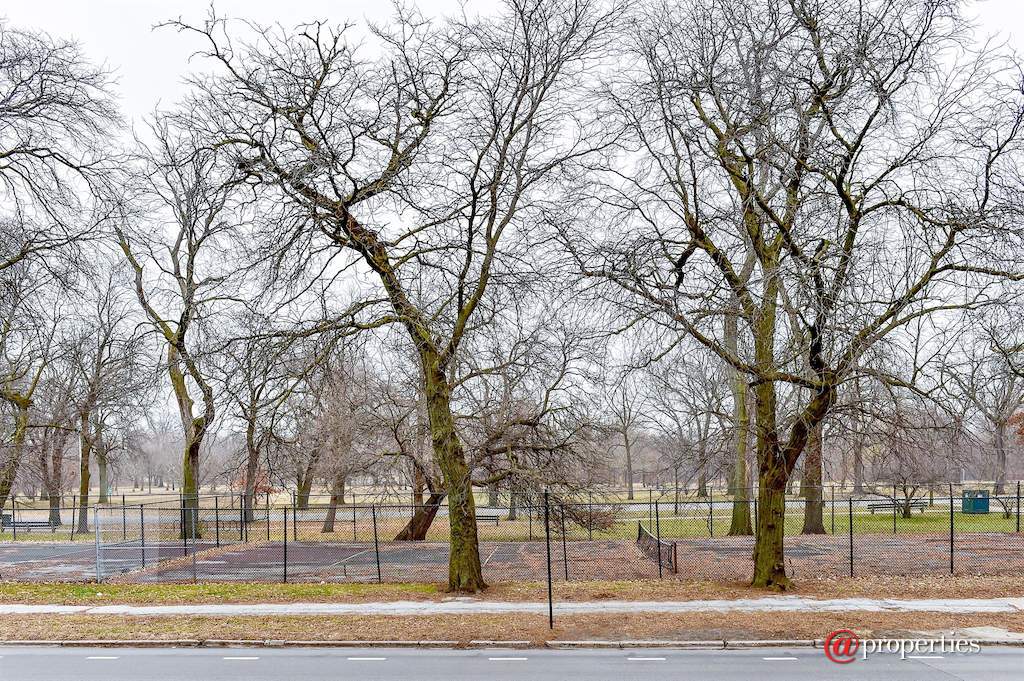 5756 S King Drive #1 Chicago, Illinois 60637 - Park View